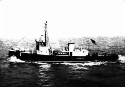 Comment sont composées la marine et la force aérienne ?