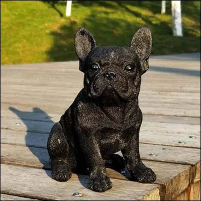 Est-ce que le bouledogue français perd beaucoup de poils ?