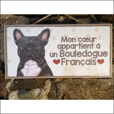 Est-ce que le bouledogue français aboie beaucoup ?