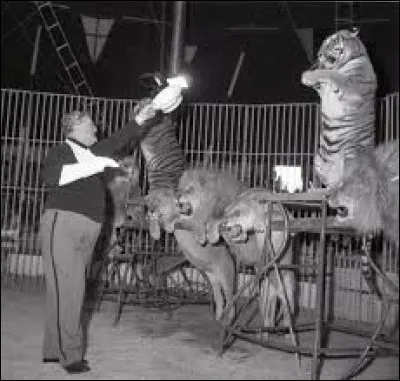 Quelle émission, présentant un spectacle de cirque, avait lieu le mercredi soir jusqu’en 1972 et le mardi soir les années suivantes ?