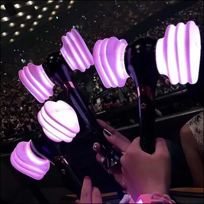 Comment s'appellent ses fans ?