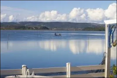 Quel est cet étang lagunaire de 55 km², situé dans le sud-est du département, ancien golfe ouvert sur la Méditerranée ?