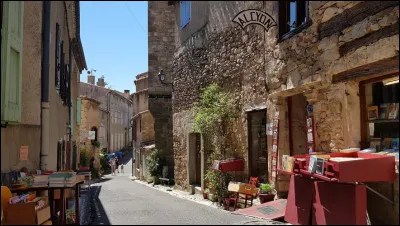Quel est ce village, situé sur les pentes de la Montagne Noire au nord de Carcassonne, village du livre avec ses nombreuses librairies ?