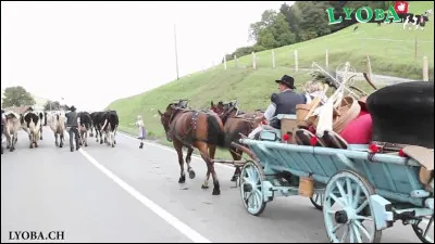 L'un des plats propos&eacute;s ci-dessous ne fait pas partie du menu de B&eacute;nichon, mais lequel ?