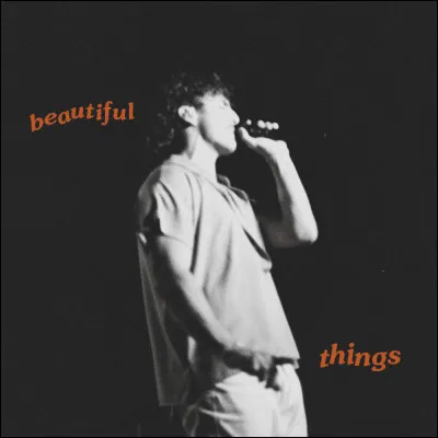 Termine les paroles de sa chanson ''Beautiful Things'' : 
« Please stay, I want you I need you oh god  ».