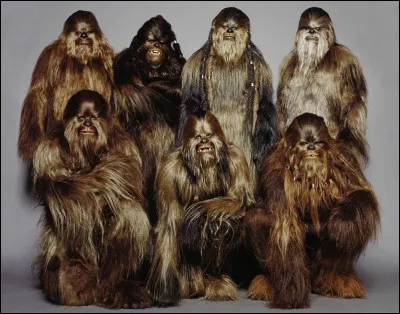 Dans l'univers "Star Wars", certains costumes Wookie ont été fabriqués à partir de cheveux humains.