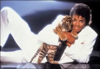 Sur la pochette de quel album Michael Jackson porte-t-il ce costume blanc ?