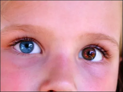 Quelle est la couleur de tes yeux ?