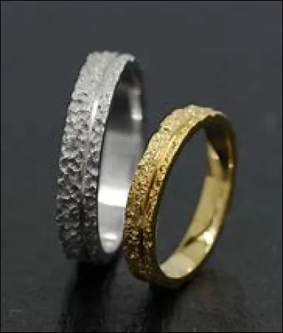 Quelle sera ton alliance plus tard ?