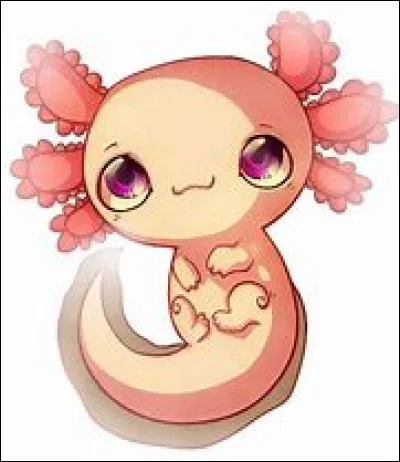 Quelle catégorie d'animaux préfères-tu ?