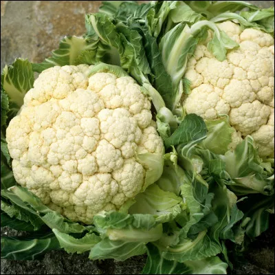 Quel est ce légume ?