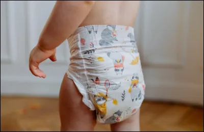Quelle marque n'est PAS une marque de couche-culotte ?