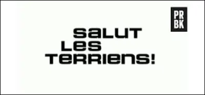 Qui a animé l'émission "Salut les Terriens ! " ?