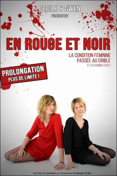 Qui chante "En rouge et noir" ?