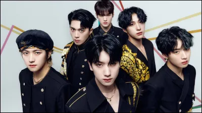 Quel est ce groupe de K-pop ?