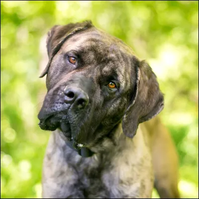 Km 28 : Ricomano. Petite ville tout près de Florence, dans quelle région d'Italie ?