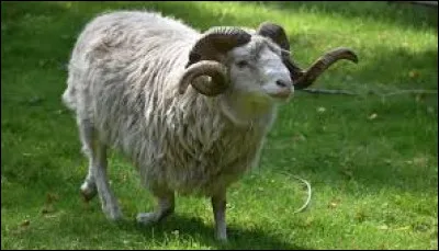 Km 63,6 : Premilocuore. C'est un village de 697 habitants situé dans la haute vallée du Rabbi, de quel fleuve le Rabbi est-il un affluent ?