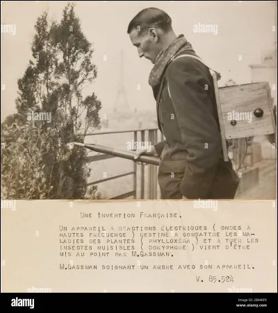 Le phylloxera est un ver.