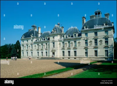 Le Romorantin est une ville et un cépage blanc du Centre-Val de Loire.