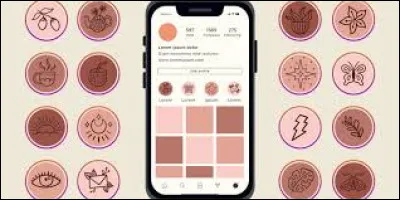 Sur quel réseau social peut-on poster des "Stories" ?