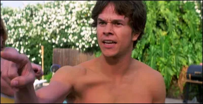 Comment s'appelle cette comédie dramatique avec Wahlberg ?