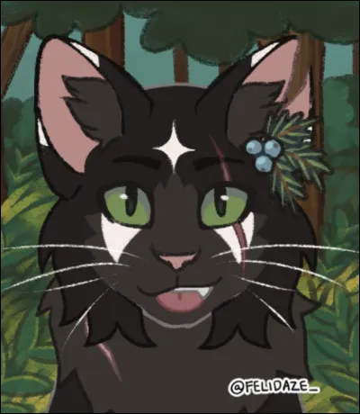 Moonpaw est-il un mâle ou une femelle ?