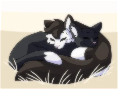 J'ai bien fait de quitter mon clan. La vie est tellement mieux ici ! Avec mon nouvel ami !