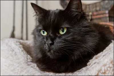 Je ne regrette pas d'être tombé dans l'eau ! Car j'ai fait une rencontre dont je me souviendrai toute ma vie !