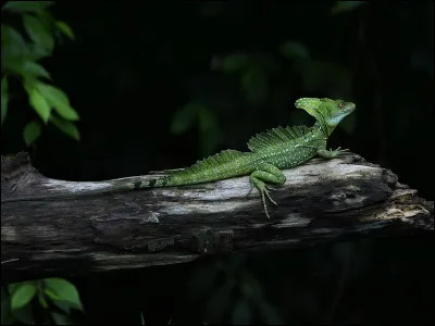 Km 168,3 : San Luca. Au col de la Guardia s'&eacute;l&egrave;ve un sanctuaire d&eacute;di&eacute; &agrave; la Madone de San Luca. &Agrave; quel type de construction avons-nous &agrave; faire ?