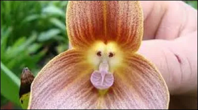 Km 198,2 : Bologne. Comme beaucoup de villes, Bologne a des surnoms, lequel n'a-t-elle pas ?