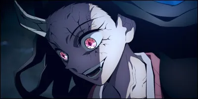 Quel est le pouvoir de cette personne ?