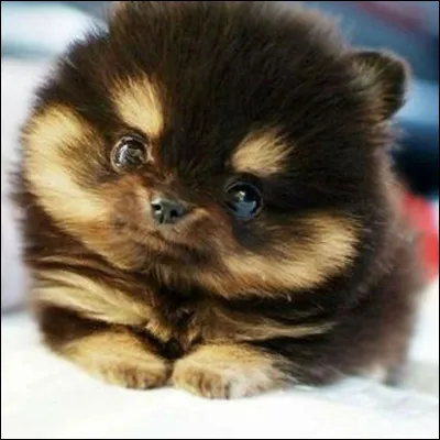 Dans mon premier test quel a été ton résultat ?