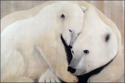 Combien d'ami(e)s as-tu ?