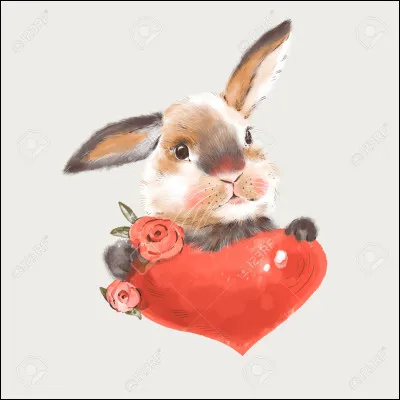 Aimes-tu les animaux ?