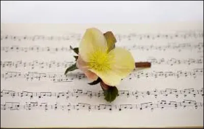 Qui a chanté "Week-end" en 2003 ?