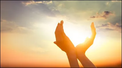 "Le SOLeil se lève aussi" est un roman signé ...