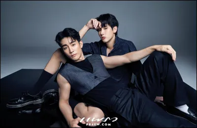 Quelle relation "Force" Jiratchapong Srisang et "Book" Kasidet Plookphol entretiennent-ils ?