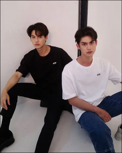 Dans quelle série ces deux acteurs ont-ils joué un couple ?