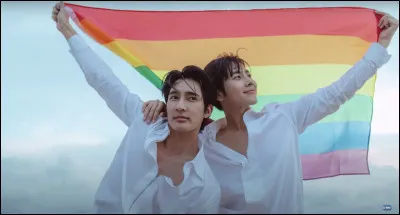 Dans quelle série le duo EarthMix s'est-il fait connaitre ?