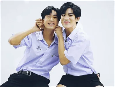 En quelle année "Gemini" Norawit Titicharoenrak et "Fourth" Nattawat Jirochtikul sont-ils nés ?