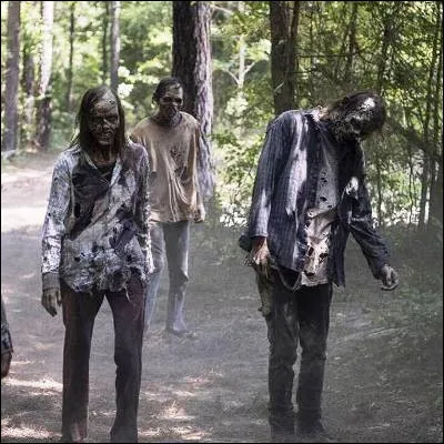 Quel groupe de rock irlandais a sorti le tube "Zombie" ?