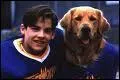 De quelle race est Buddy, qui joue dans la saga des films 'air bud' ?