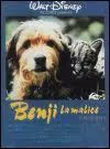 Quelle est la race du chien qui interprte Benji la malice ?