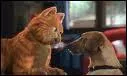 Comment s'appelle le chien dans Garfield ?