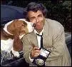 Quelle est la race du chien de Columbo ?