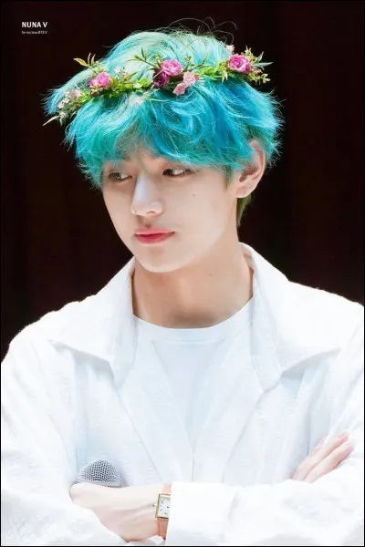 Quelles sont ses couleurs préférées ?