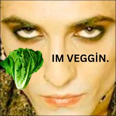 Beggin' n'a pas été écrite par Måneskin, mais par