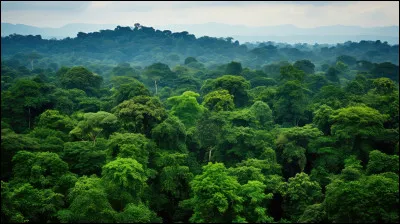 Sur combien de pays la forêt amazonienne s'étend-elle ?