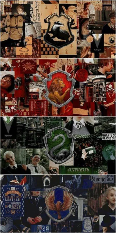 Quelle catégorie danimaux préfères-tu ?