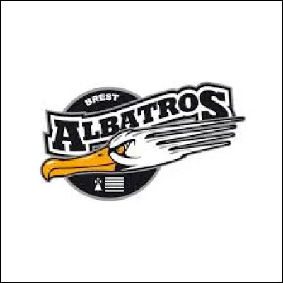 Dans quel sport évoluent "Les Albatros de Brest" ?